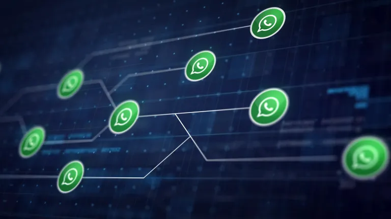 WhatsApp BUSINESS API